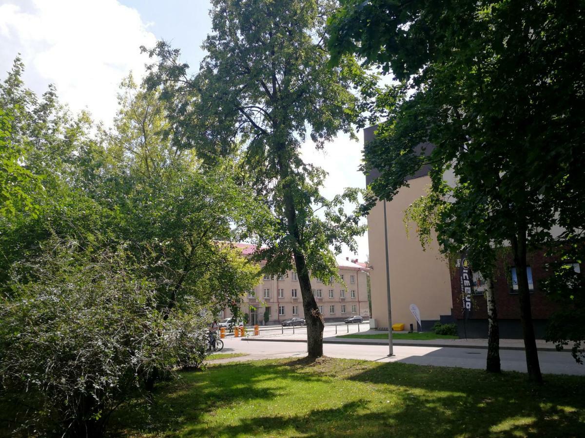 Vilnius Apartment With Stained Glass Екстер'єр фото