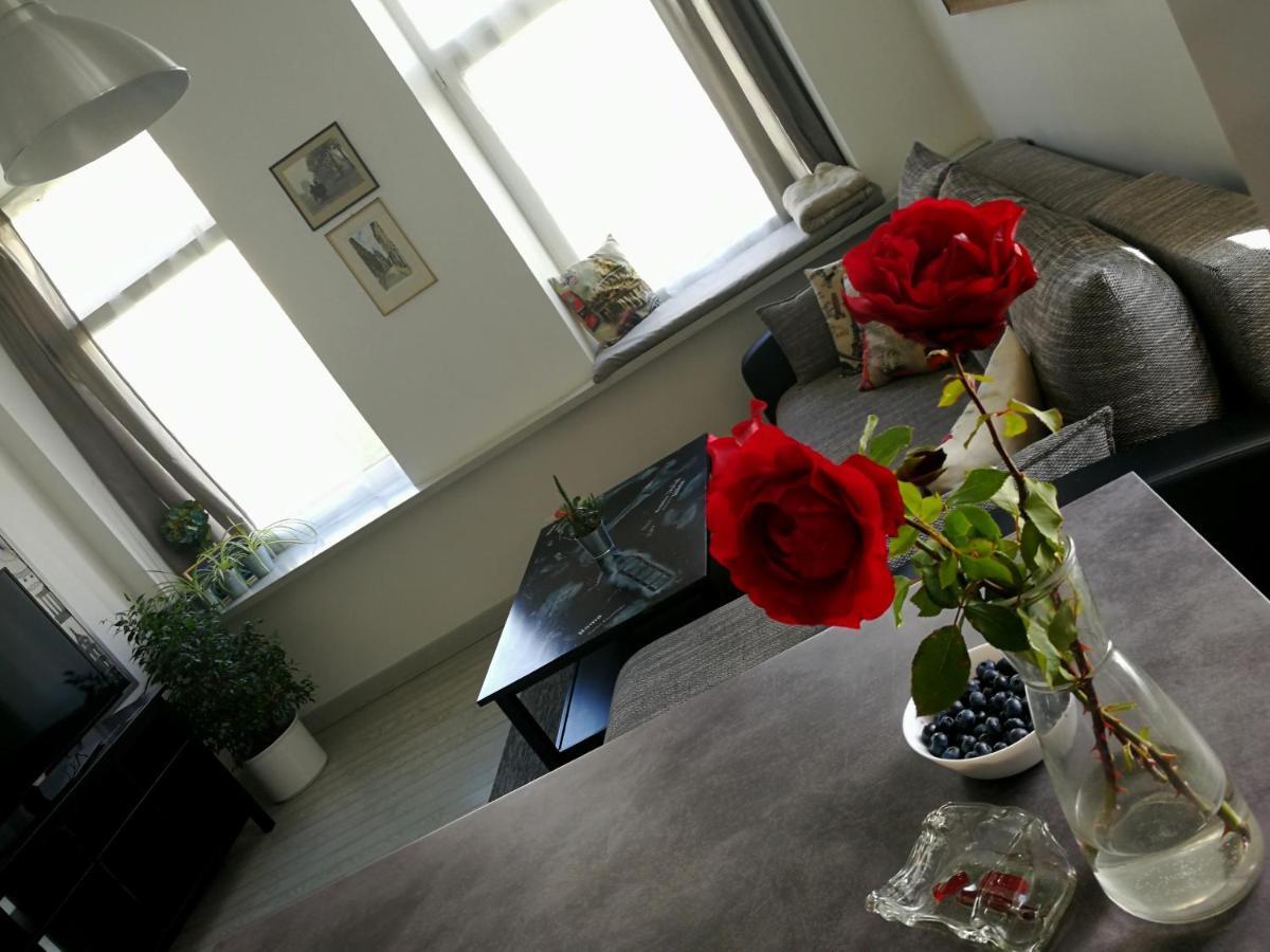Vilnius Apartment With Stained Glass Екстер'єр фото